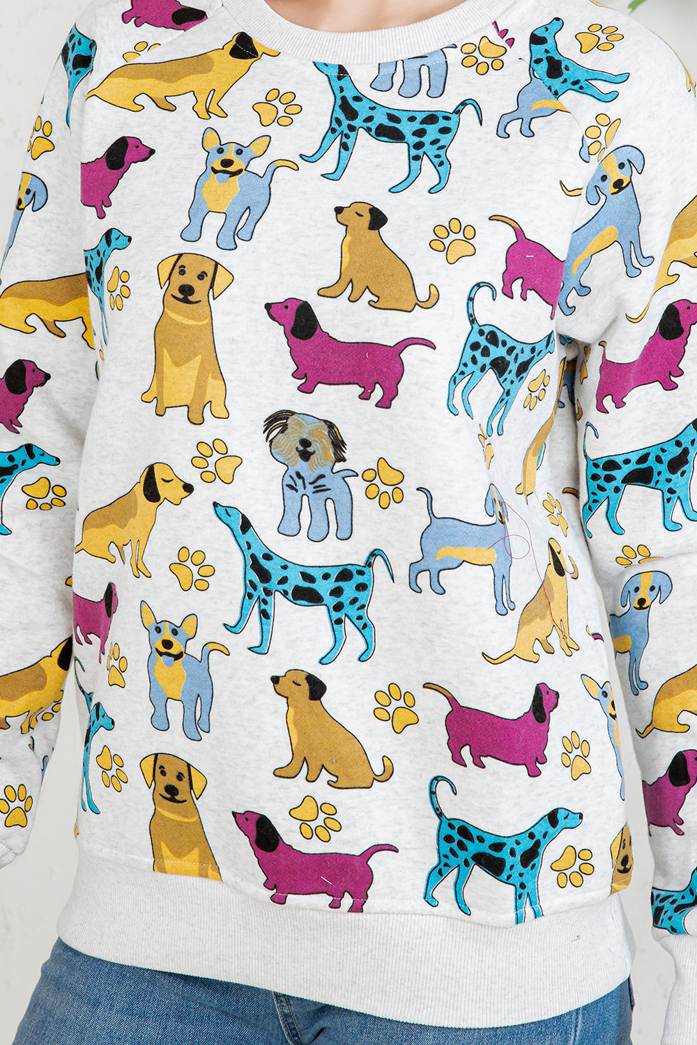Colorful DOG Fleece Sweatshirt