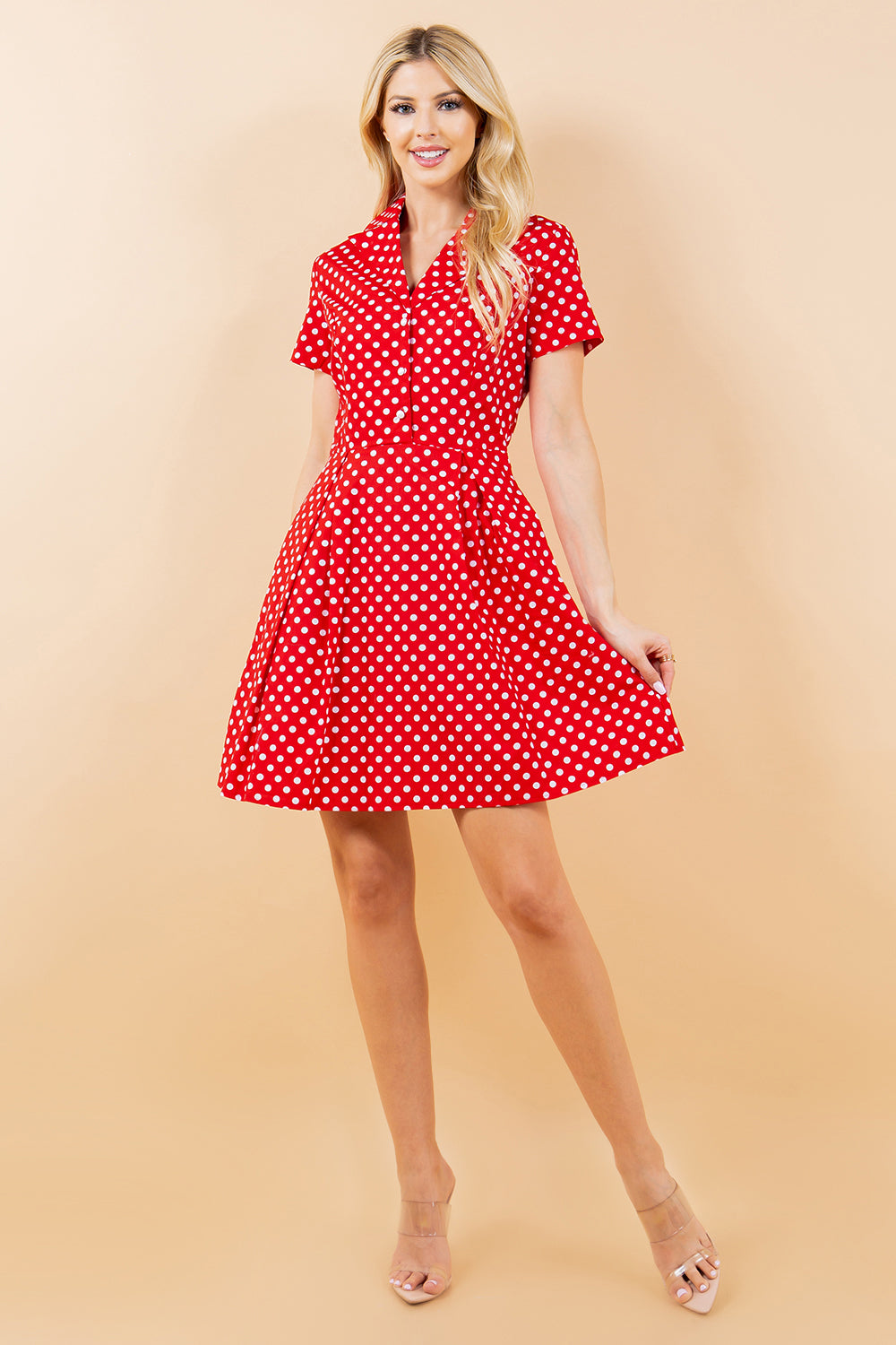 Polka Dot Fit and Flare Dress