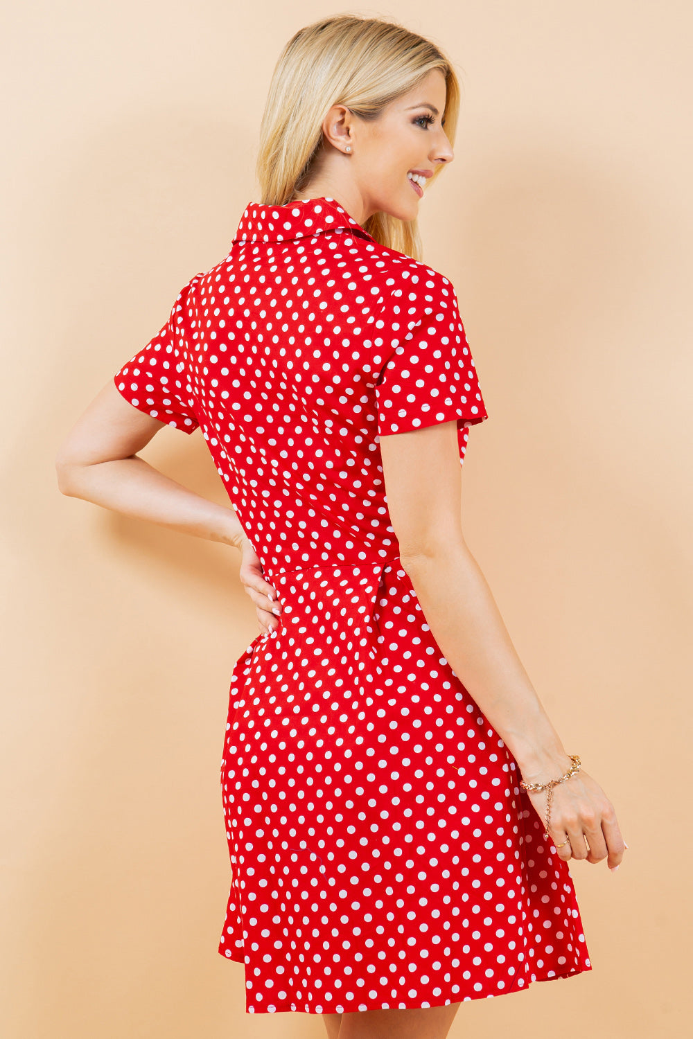 Polka Dot Fit and Flare Dress