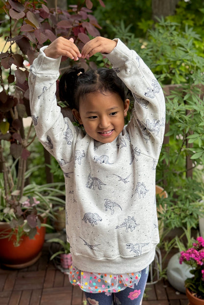 Dino Sweatshirt - Kids