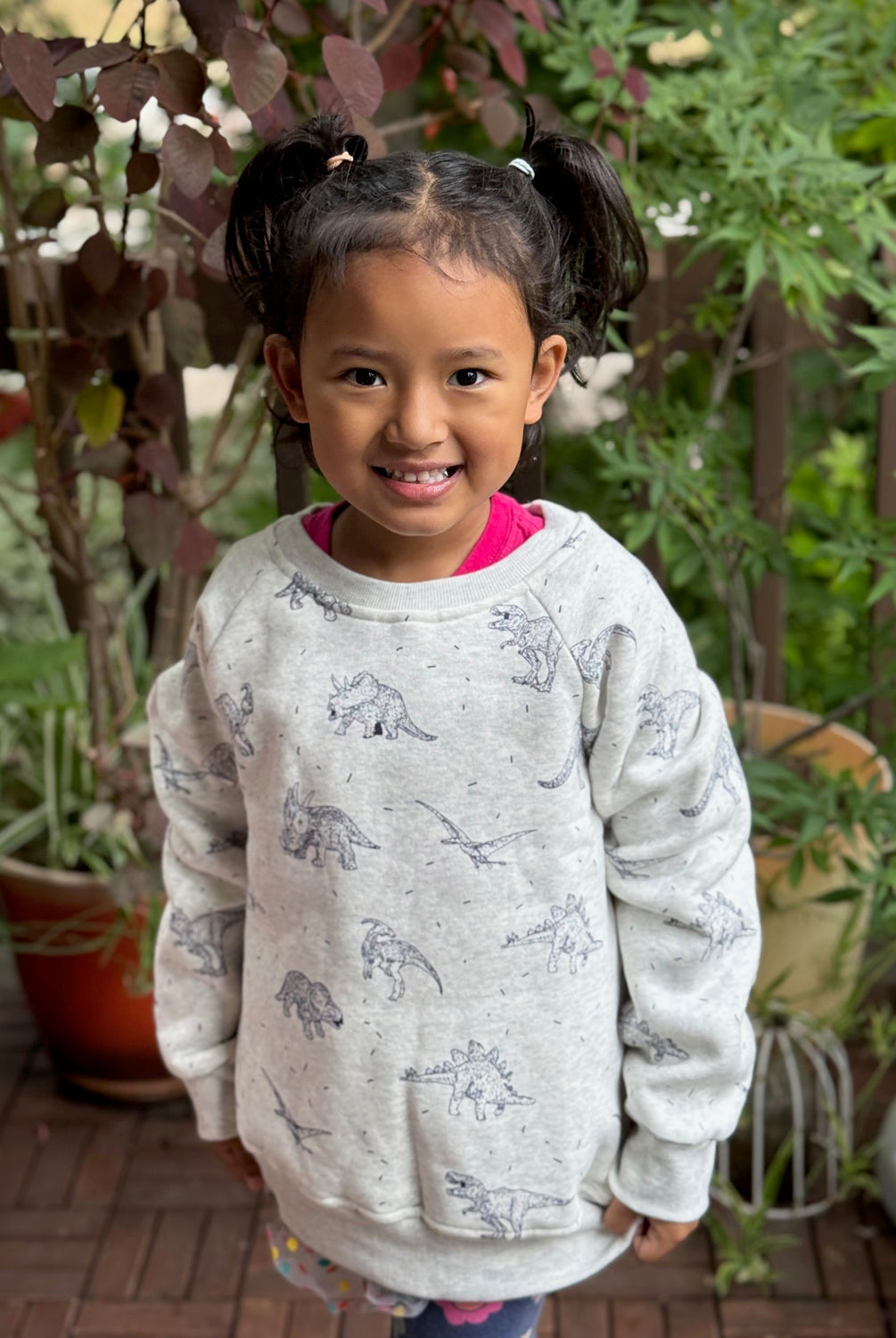 Dino Sweatshirt - Kids