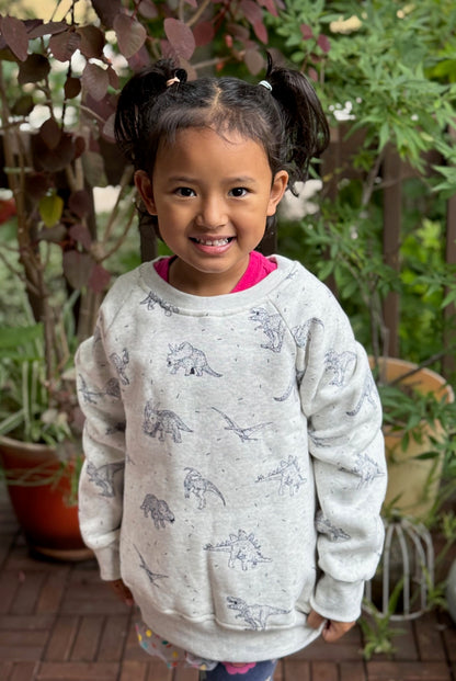 Dino Sweatshirt - Kids