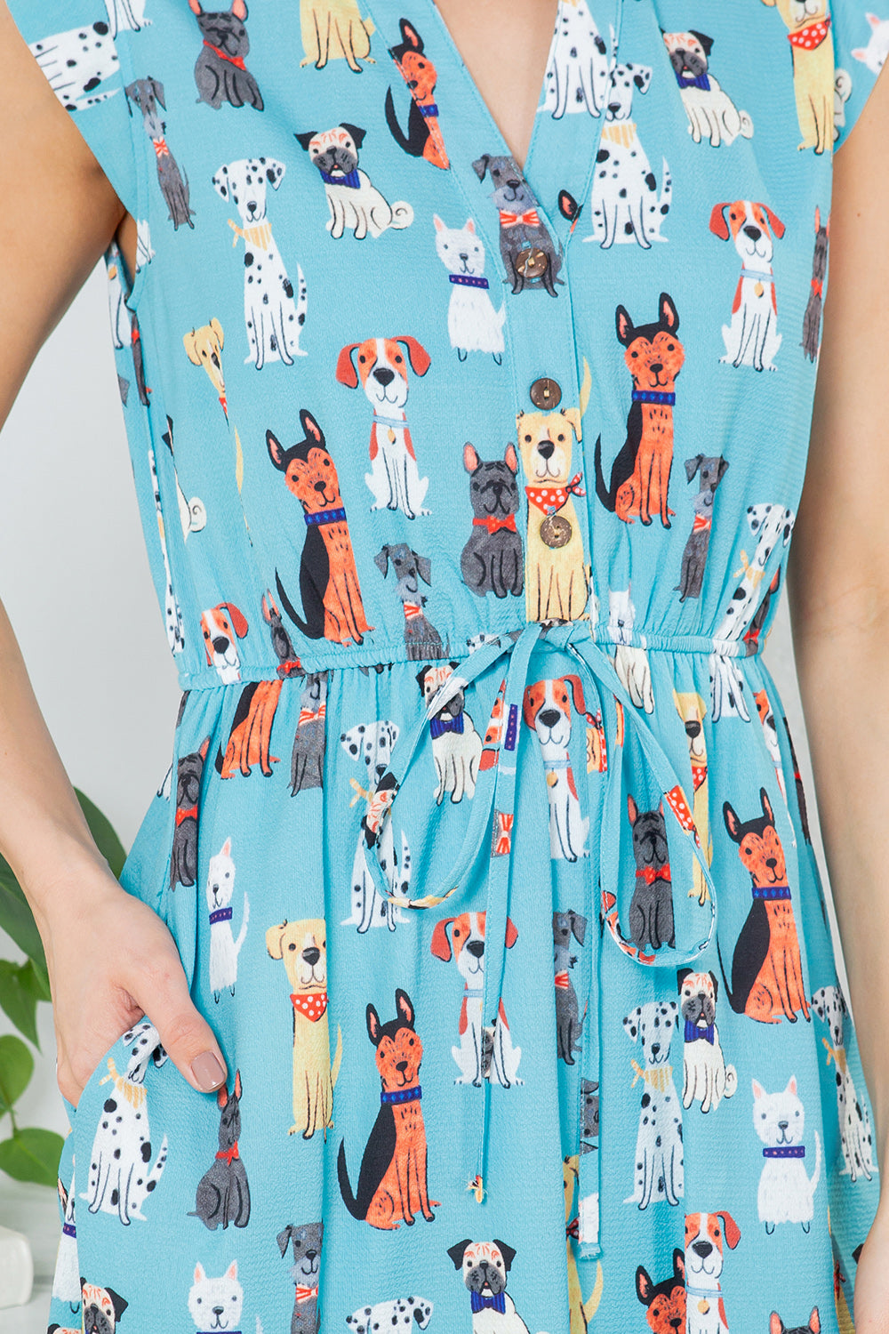 Variety Of Dog Dress