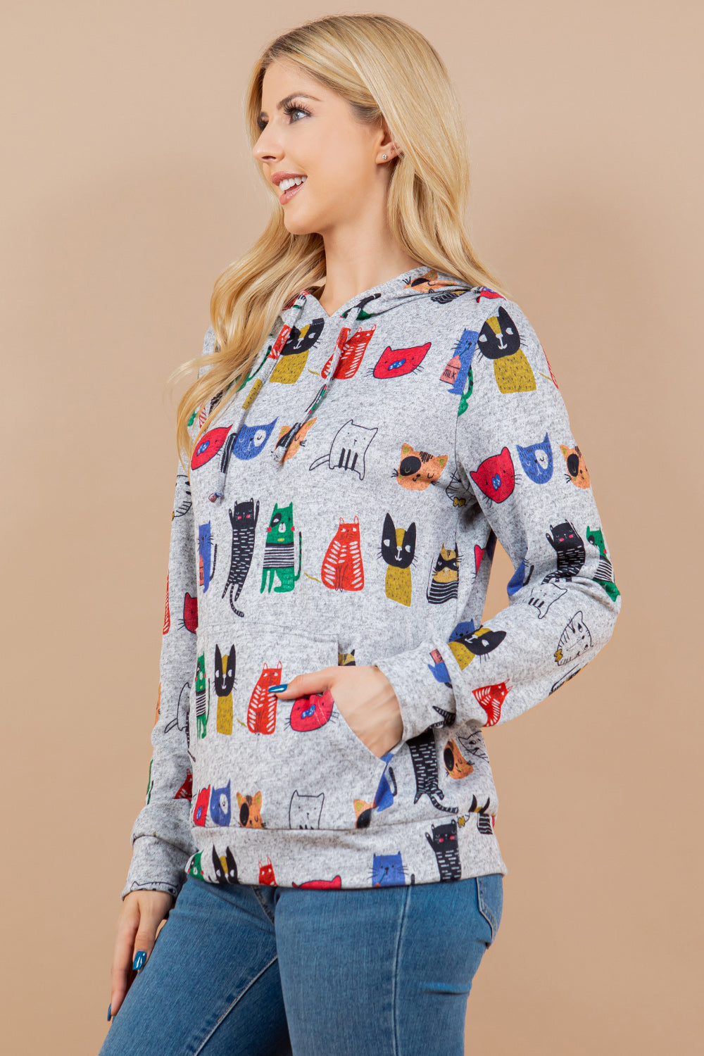 Colorful Cats Pullover Plus Hoodie