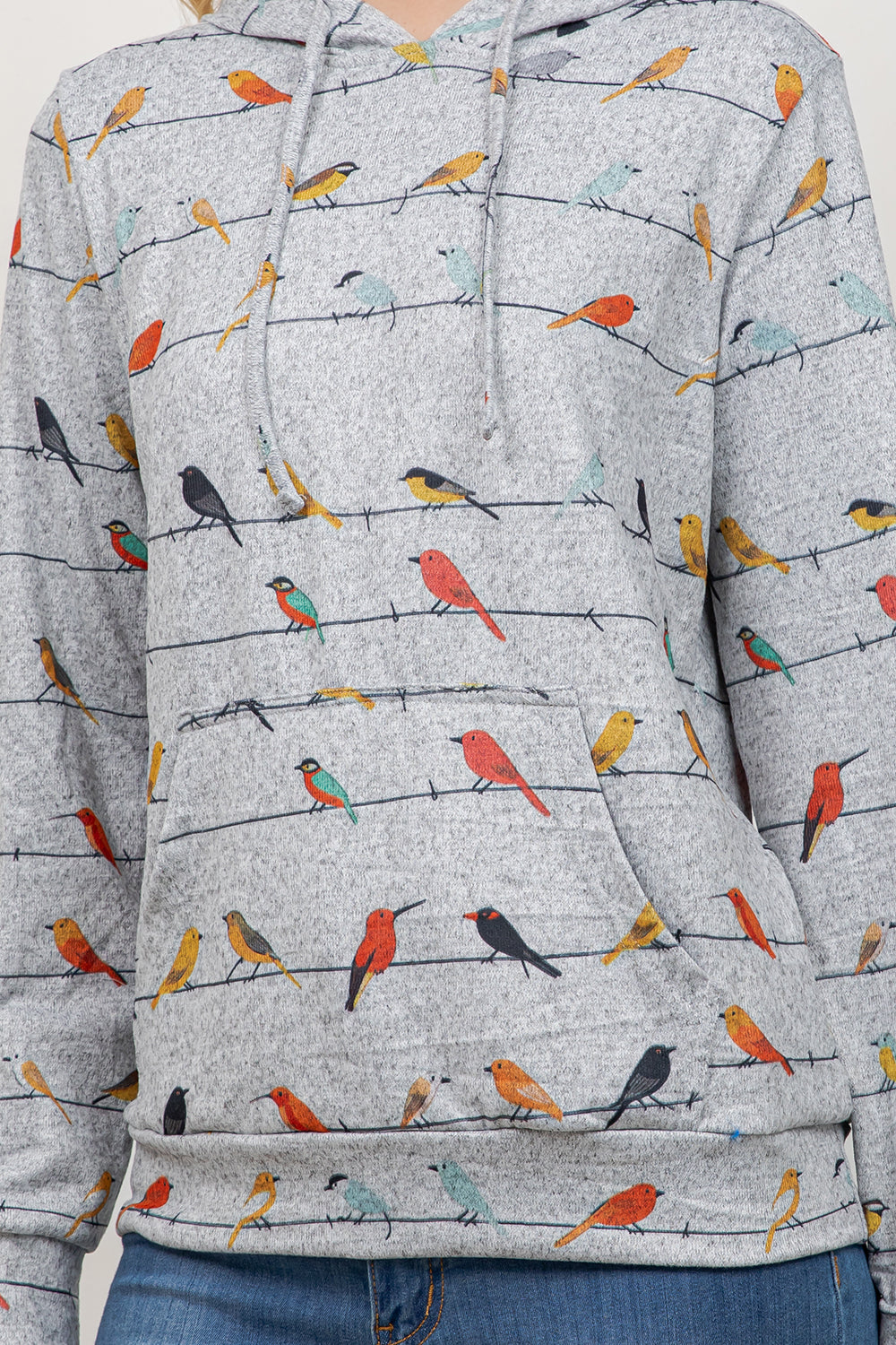 Birds on Wire Pullover Hoodie