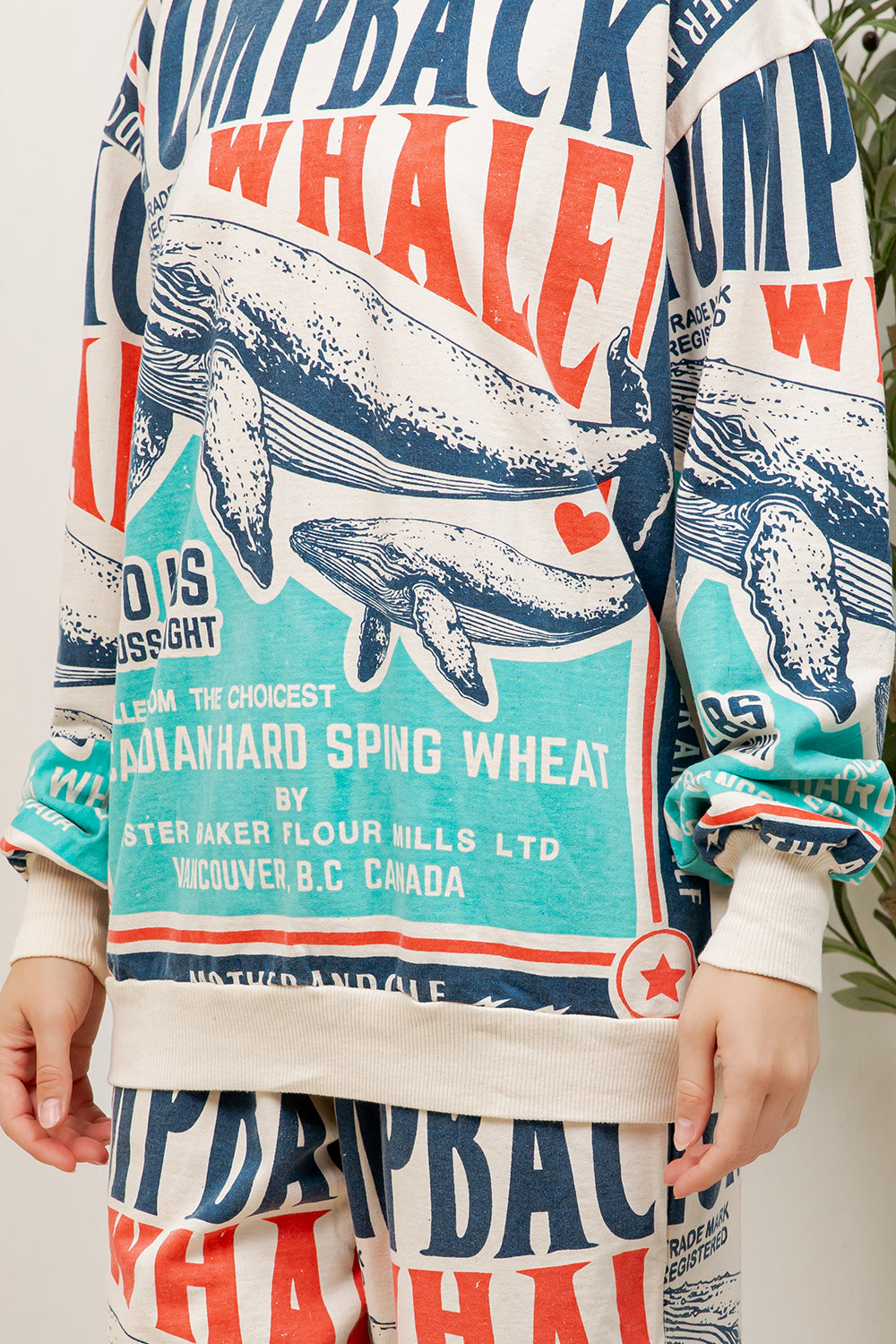 Whale - Cotton Sweatshirt & Pants
